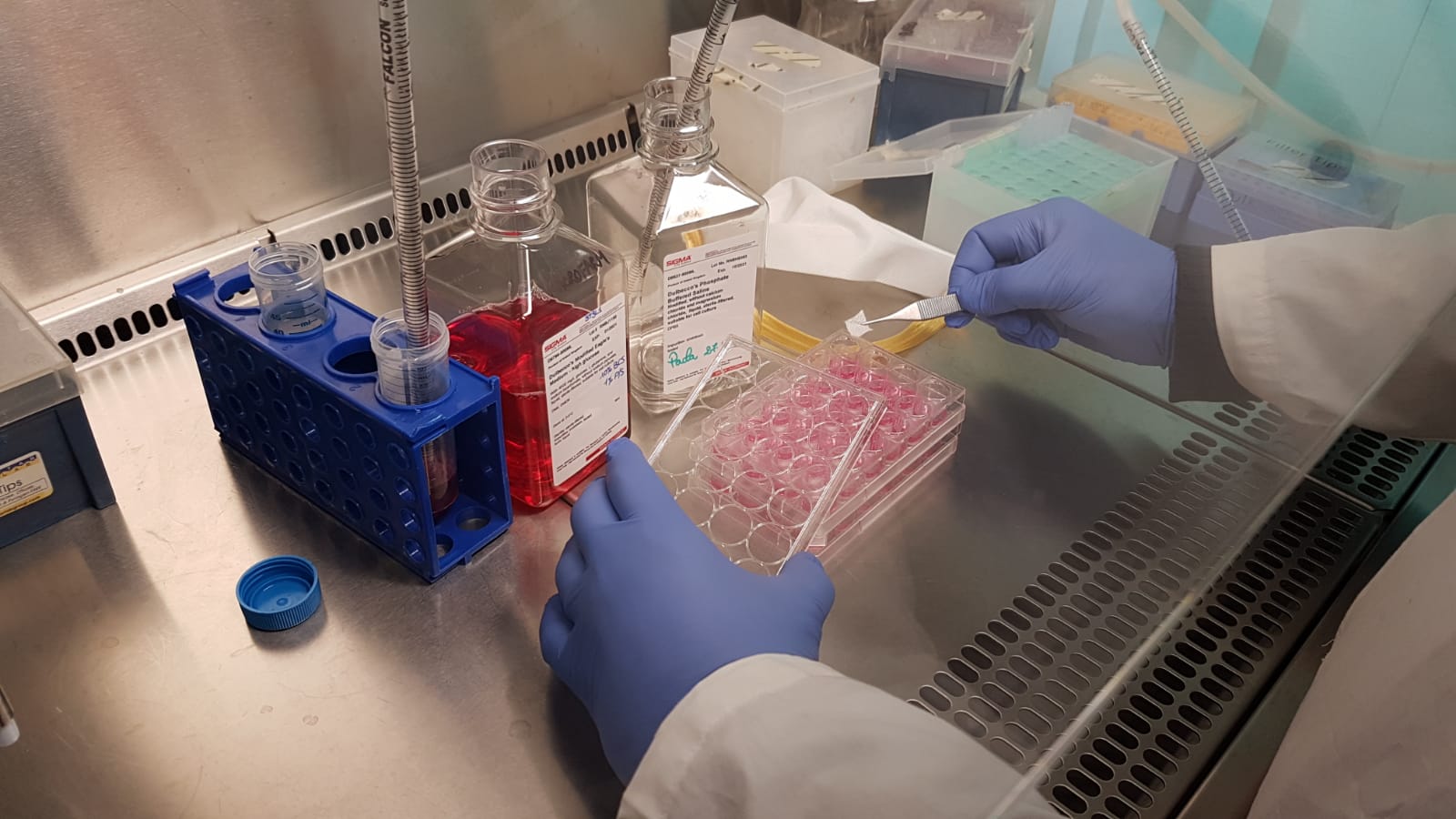 სტიპენდია სამედიცინო ფაკულტეტის სტუდენტებისთვის